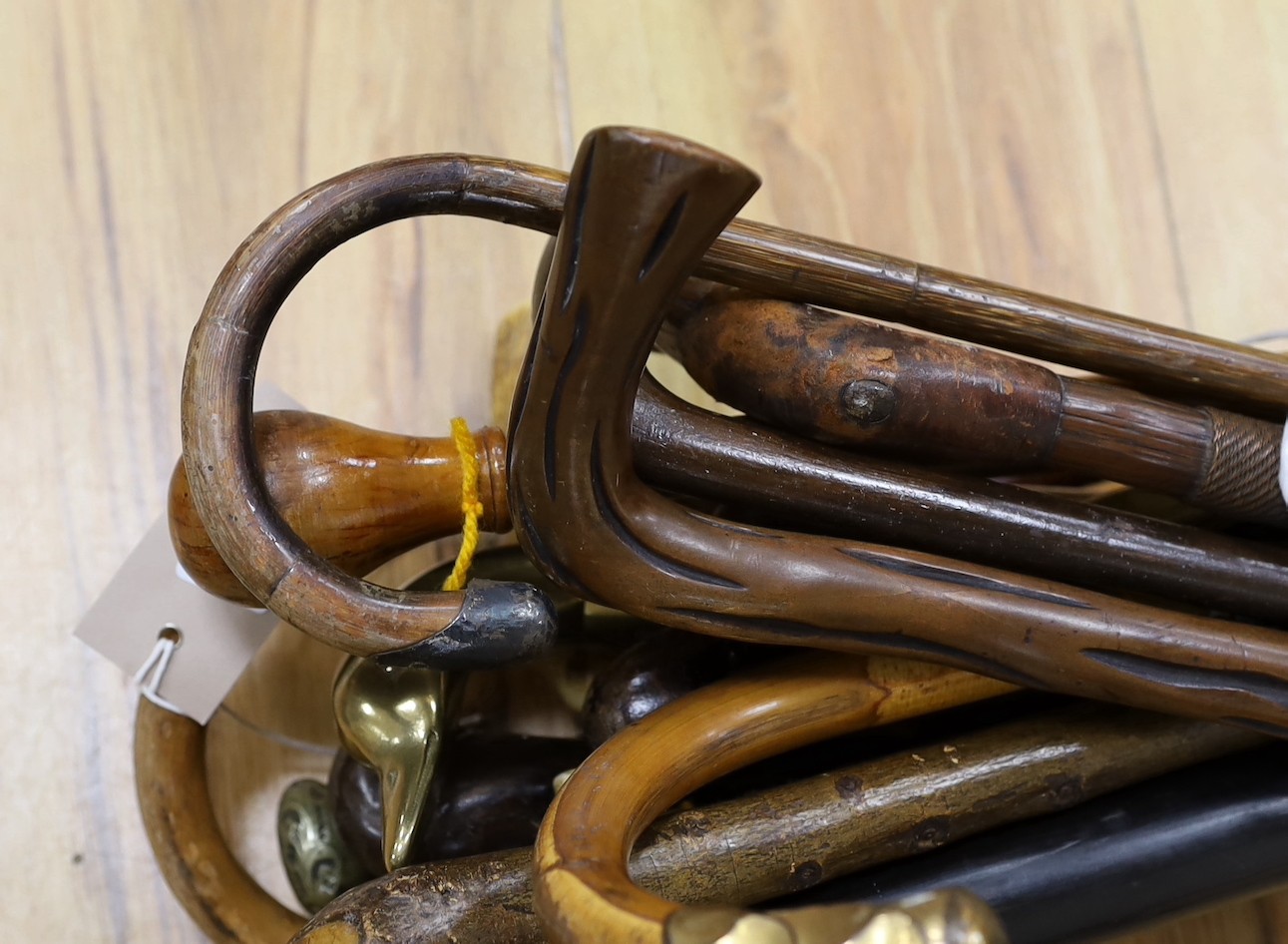 An assortment of walking sticks / canes